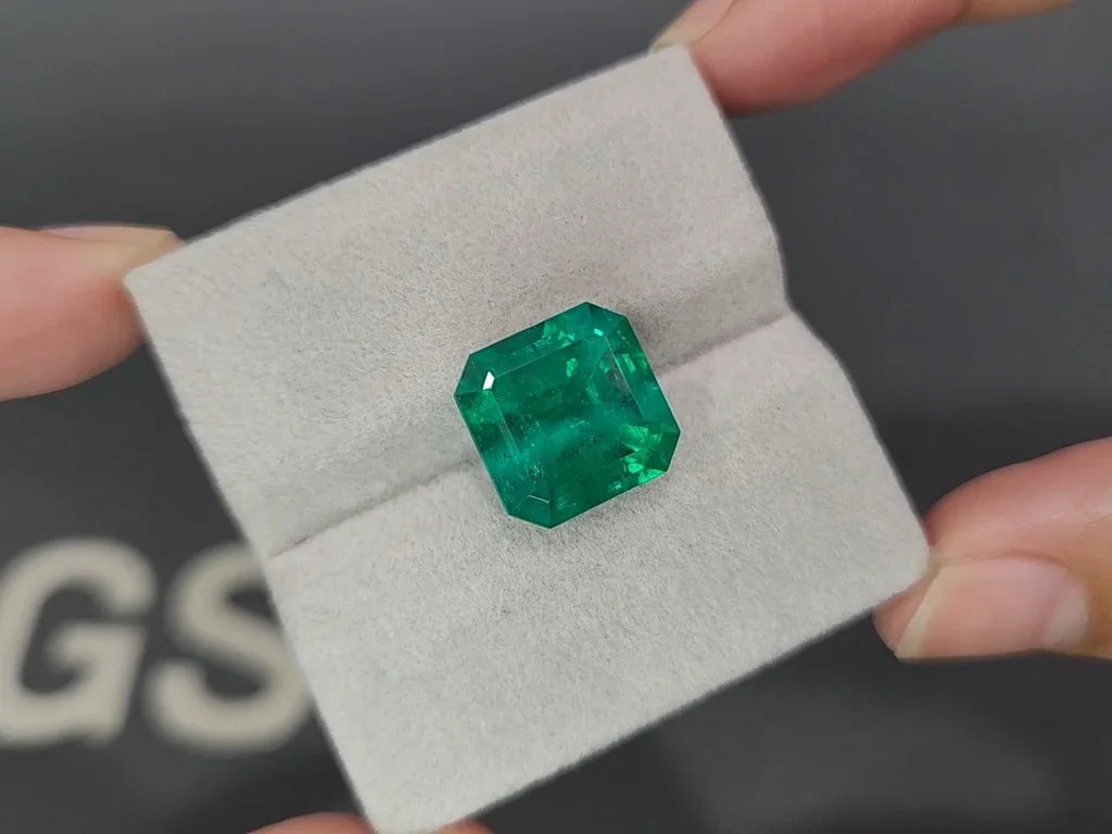 Leuchtend grüner achteckiger smaragd 8,55 carats, Kolumbien Image №4
