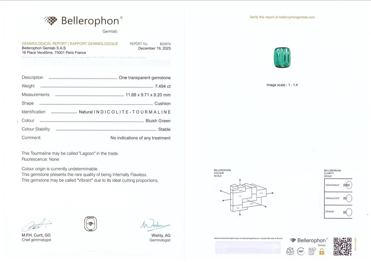 Tourmaline Lagoon cushion cut 7.49 carats, Afghanistan Image №6