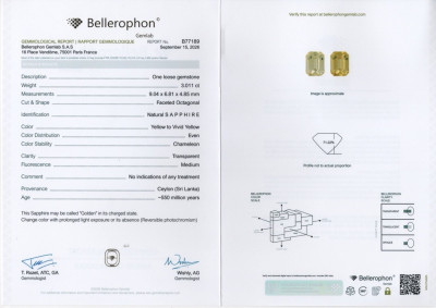 Certificate Une paire de saphirs non chauffés Golden Yellow à taille octogonale 6,40 carats, Sri Lanka