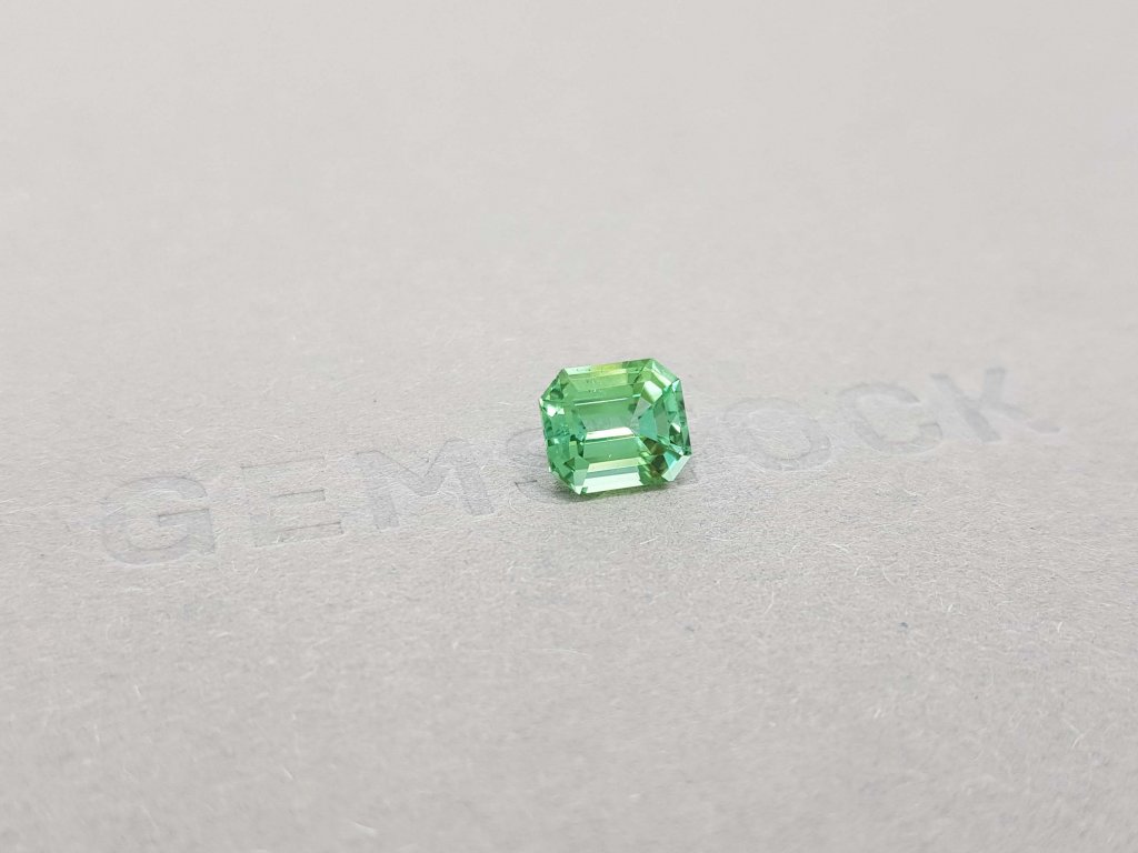Green Tourmaline Octagon Verdelite 1.64 ct Image №2