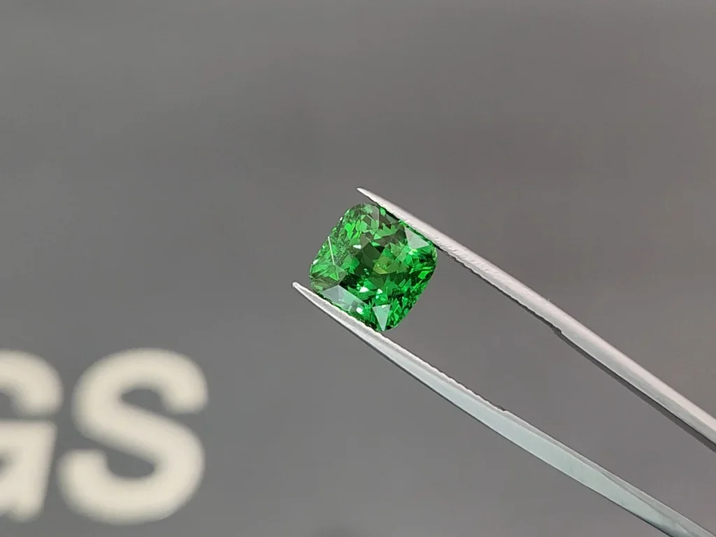 Tsavorit-granat Leuchtend grüner im kissenschliff 5,02 carats, Tansania Image №3