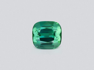 Large tourmaline Lagoon cushion cut 12.35 carats, Afghanistan  photo