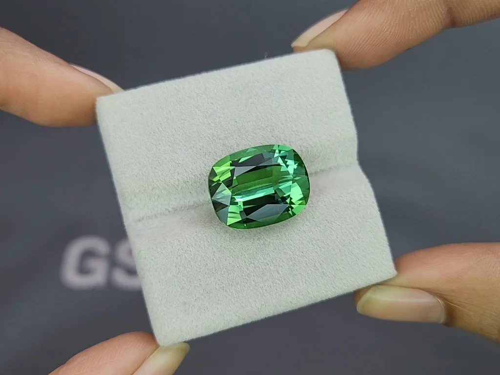 Tourmaline verte de grande taille taille coussin pesant 13,51 carats, Afrique Image №4