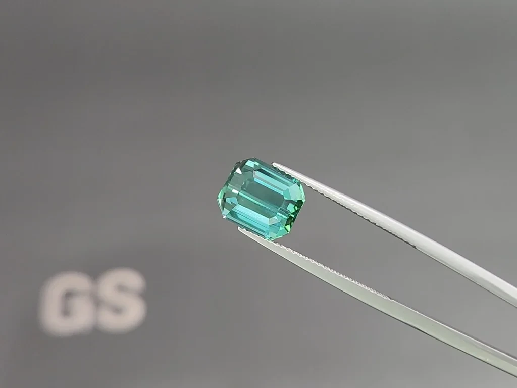 Turmalina Laguna de corte octogonal de 4,60 quilates, Afganistán Image №3