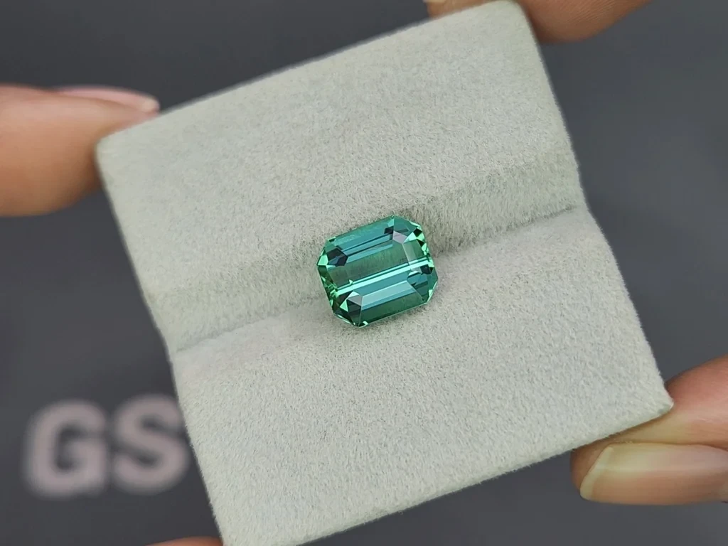 Turmalina Laguna de corte octogonal de 4,60 quilates, Afganistán Image №4