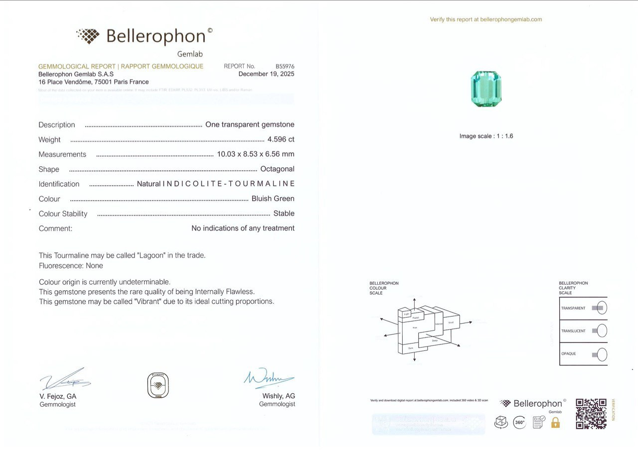 Turmalina Laguna de corte octogonal de 4,60 quilates, Afganistán Image №6