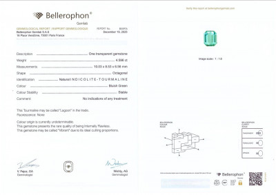 Certificate Turmalina Laguna de corte octogonal de 4,60 quilates, Afganistán