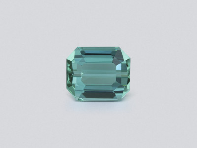 Turmalina Laguna de corte octogonal de 4,60 quilates, Afganistán photo