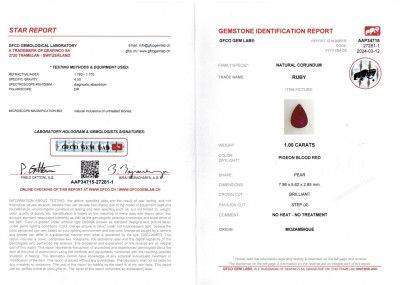Certificate Pin brooch with South Sea pearl and Pigeon's Blood ruby in 18K white gold
