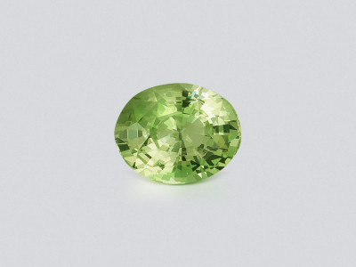 Grossular-granat oval geschliffen 3,04 karat, Afrika photo