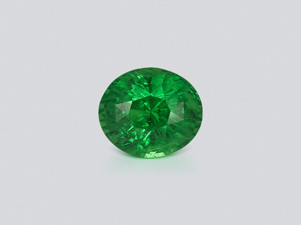 Garnet tsavorite oval cut 5.25 carats,  Africa Image №1