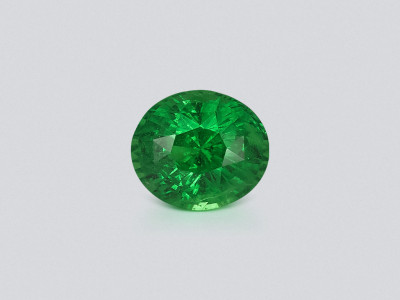 Garnet tsavorite oval cut 5.25 carats,  Africa photo