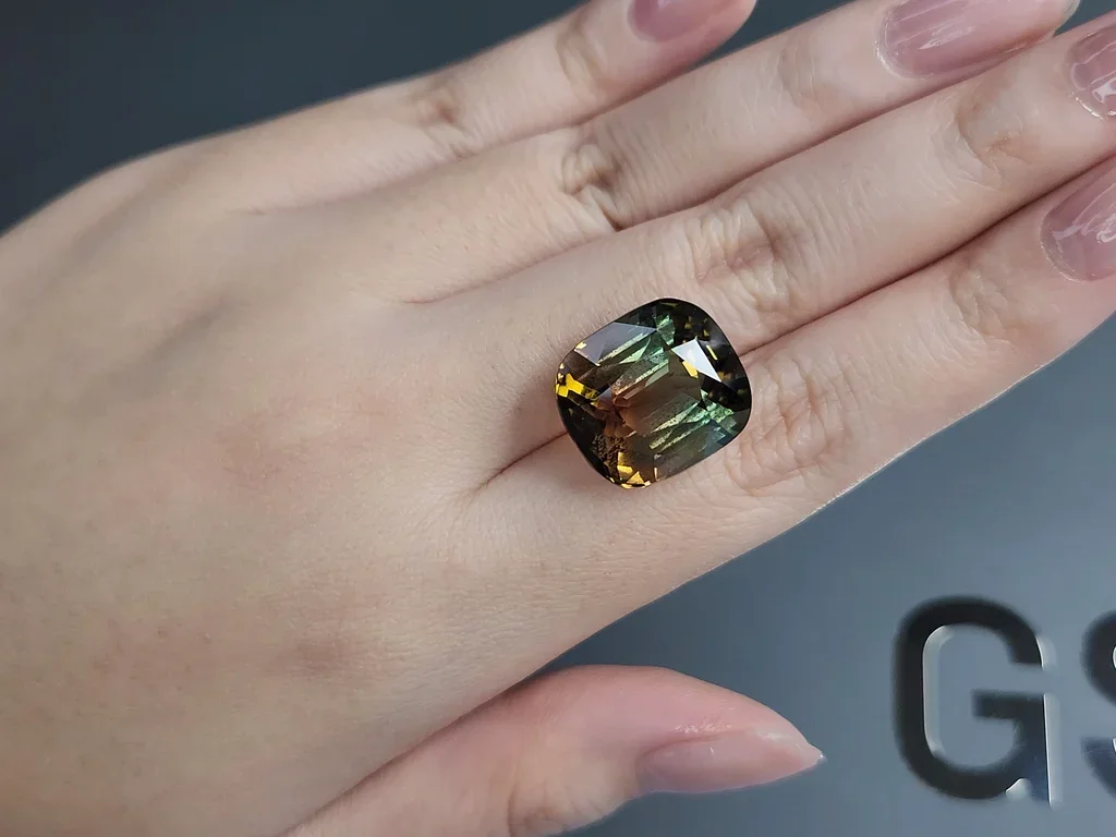 Turmalina bicolor talla cojín 24,95 quilates, Mozambique  Image №2