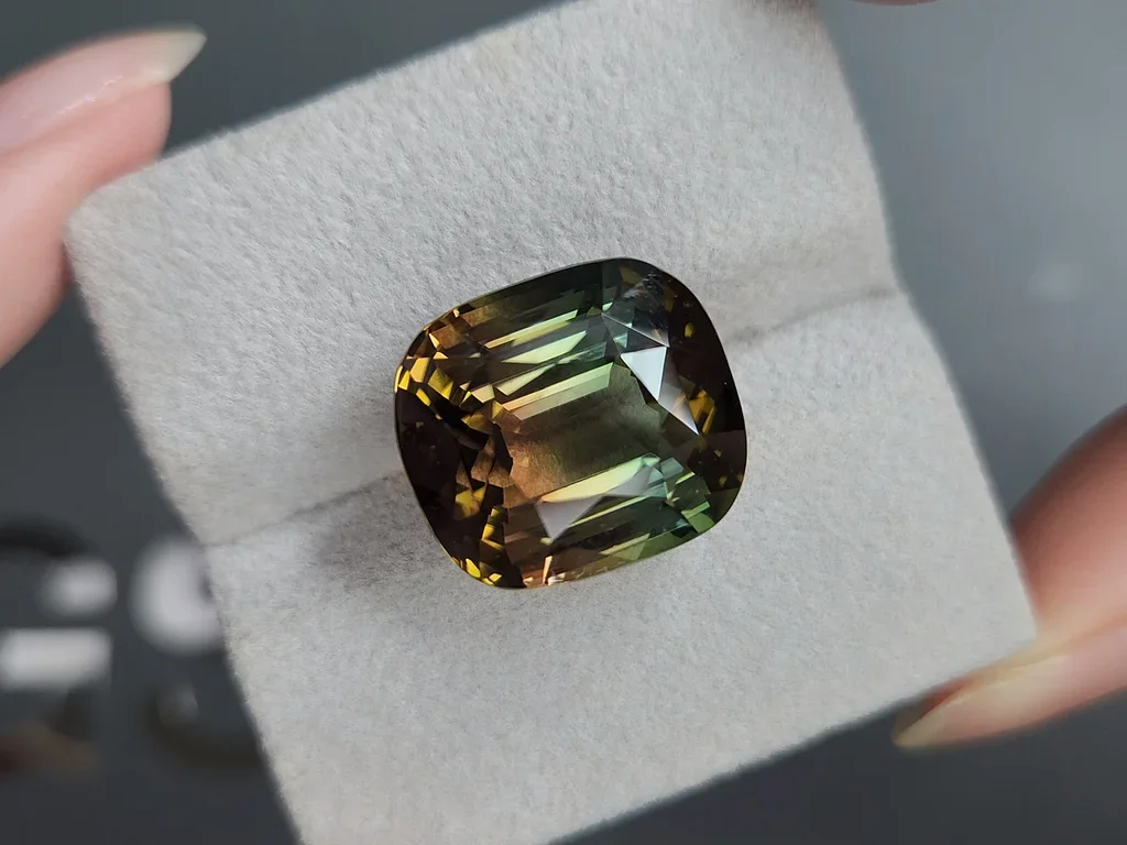 Turmalina bicolor talla cojín 24,95 quilates, Mozambique  Image №4