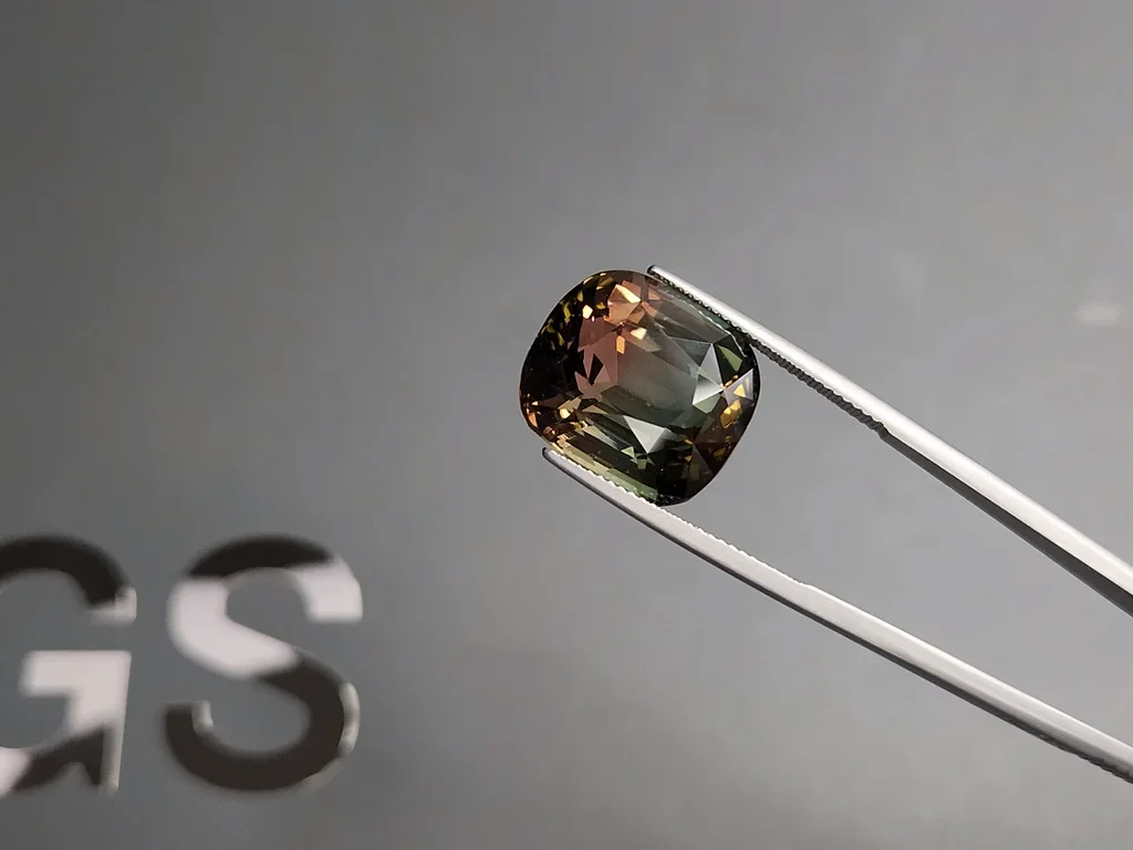 Turmalina bicolor talla cojín 24,95 quilates, Mozambique  Image №3