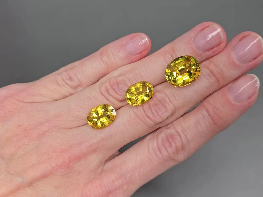 Ensemble de saphirs jaunes de taille ovale 26,75 carats, Sri Lanka Image №2
