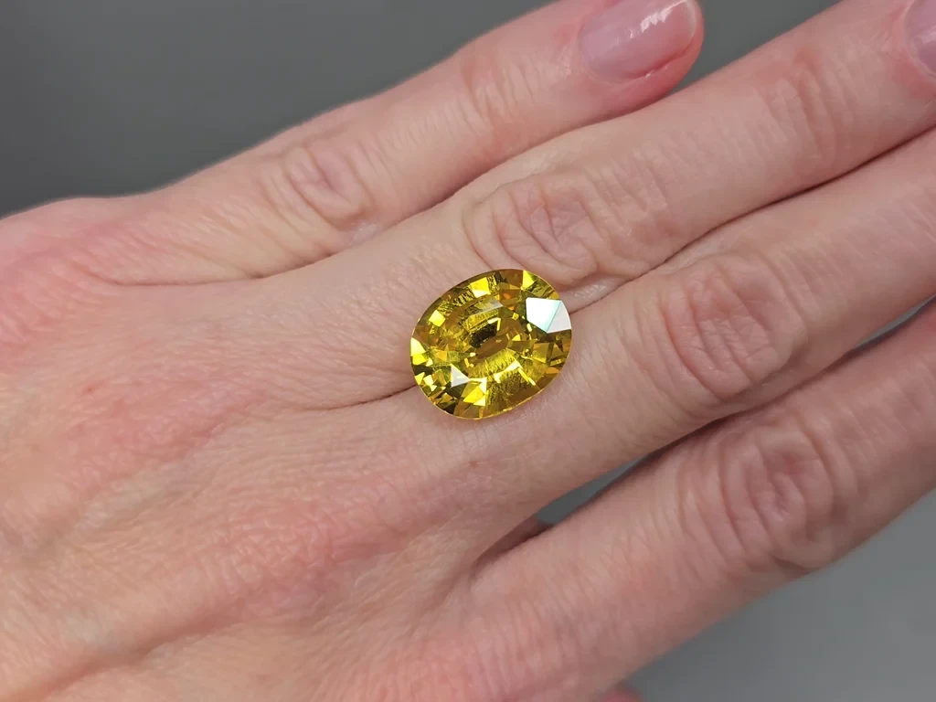 Ensemble de saphirs jaunes de taille ovale 26,75 carats, Sri Lanka Image №4