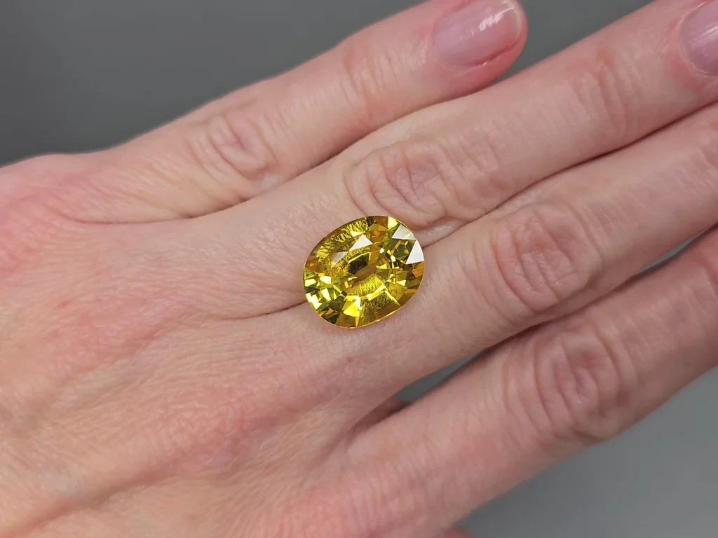 Ensemble de saphirs jaunes de taille ovale 26,75 carats, Sri Lanka Image №5
