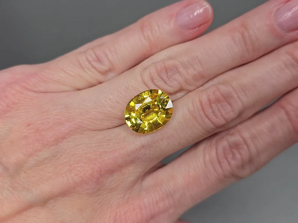 Ensemble de saphirs jaunes de taille ovale 26,75 carats, Sri Lanka Image №6