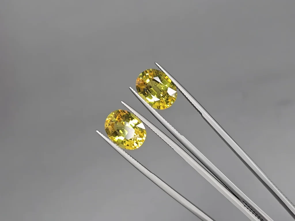 Ensemble de saphirs jaunes de taille ovale 26,75 carats, Sri Lanka Image №7