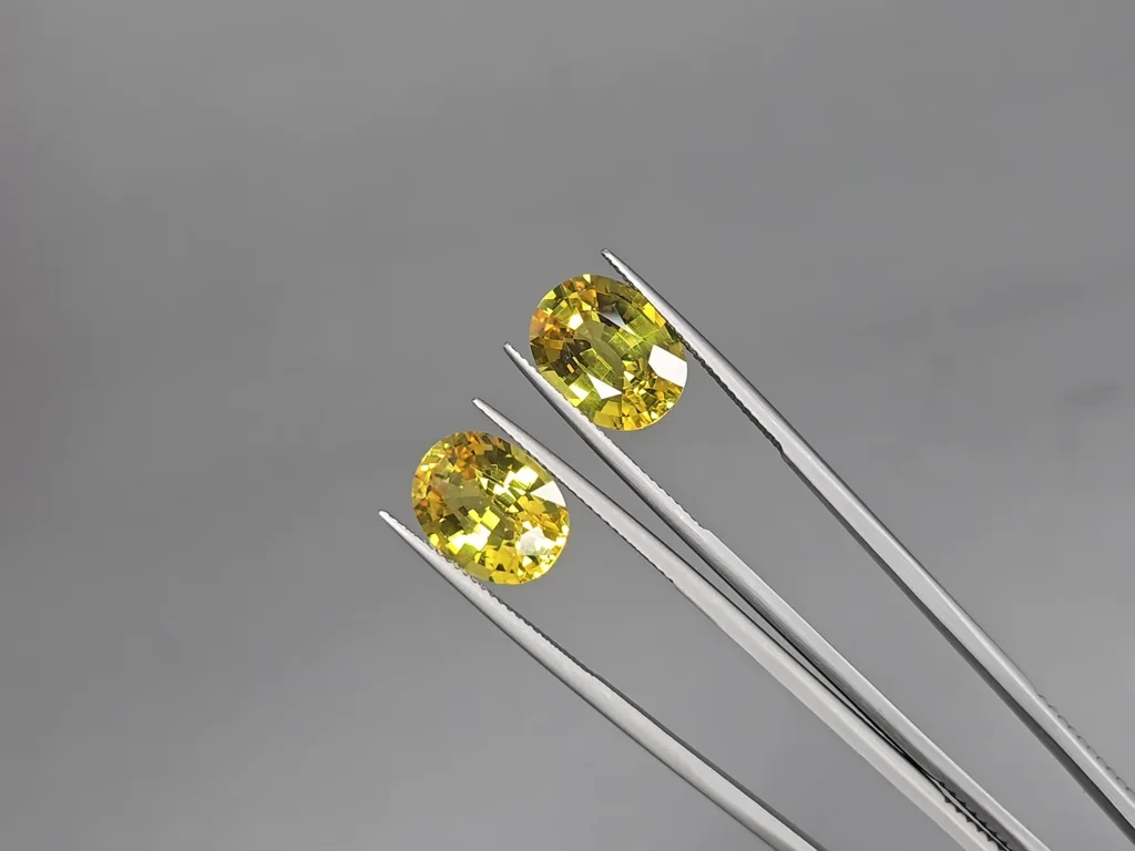 Ensemble de saphirs jaunes de taille ovale 26,75 carats, Sri Lanka Image №8