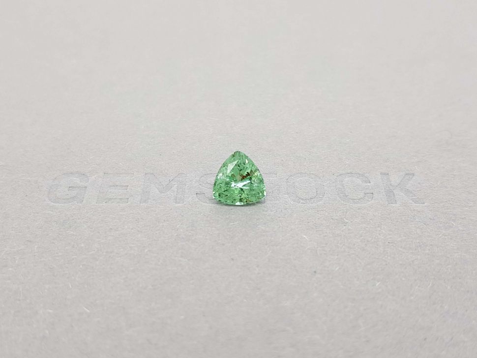Light green tourmaline verdelite 1.26 trillion trillion cut Image №1