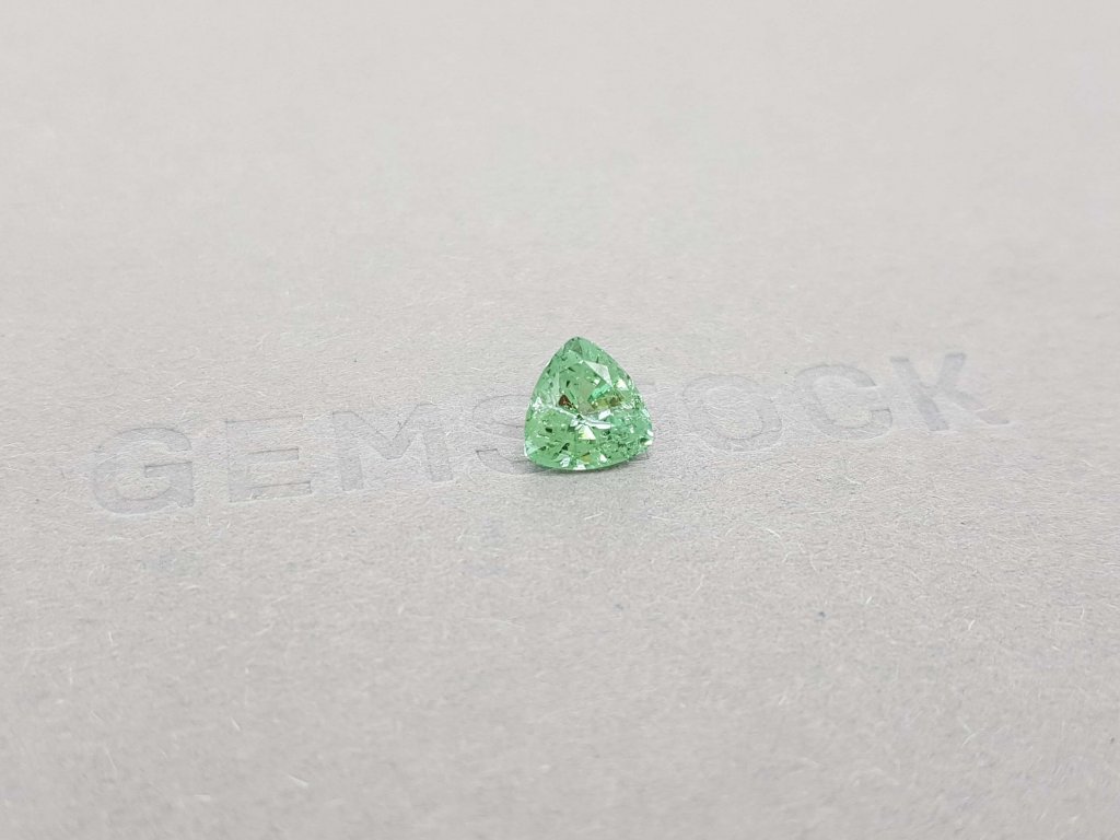 Light green tourmaline verdelite 1.26 trillion trillion cut Image №2