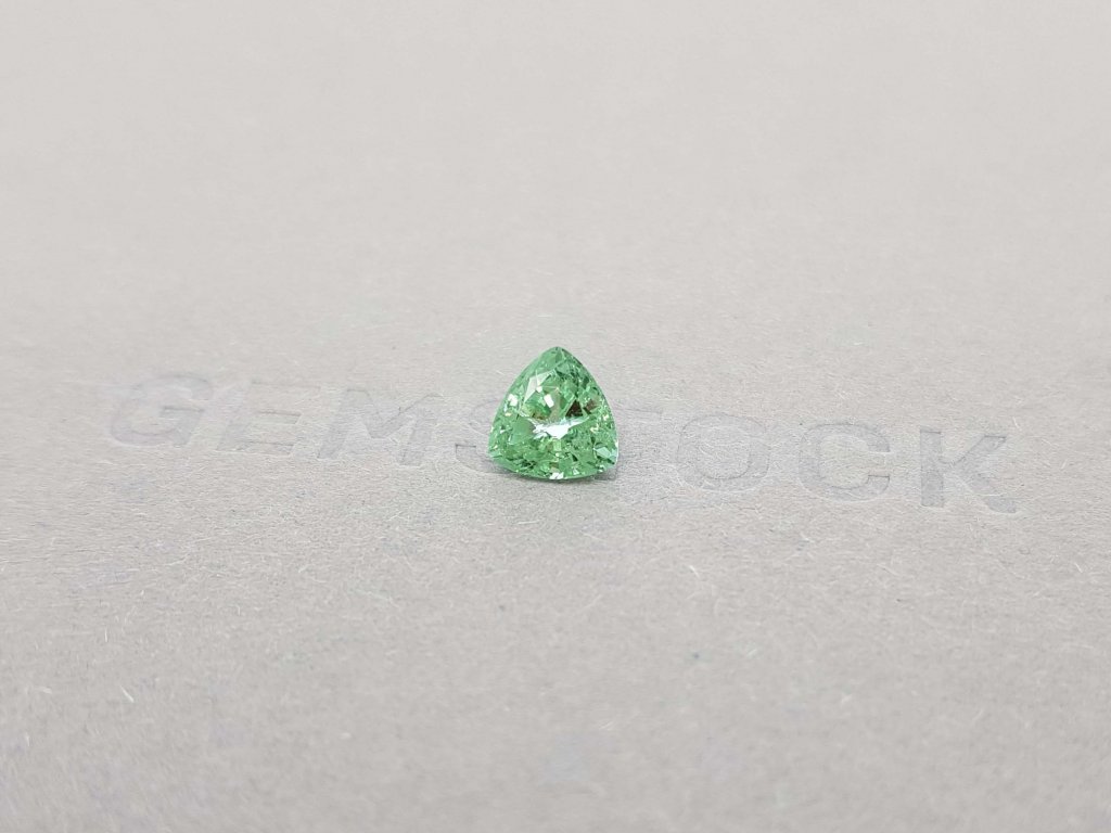 Light green tourmaline verdelite 1.26 trillion trillion cut Image №3