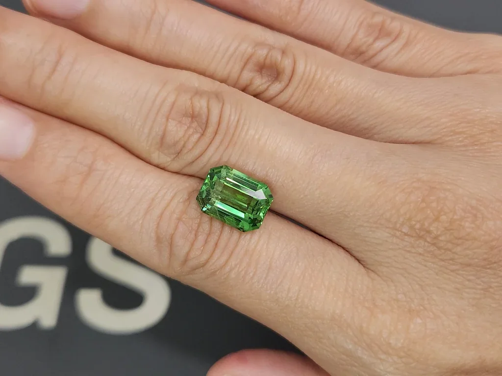 Green tsavorite in octagon cut  5.97 carats, Tanzania  Image №2