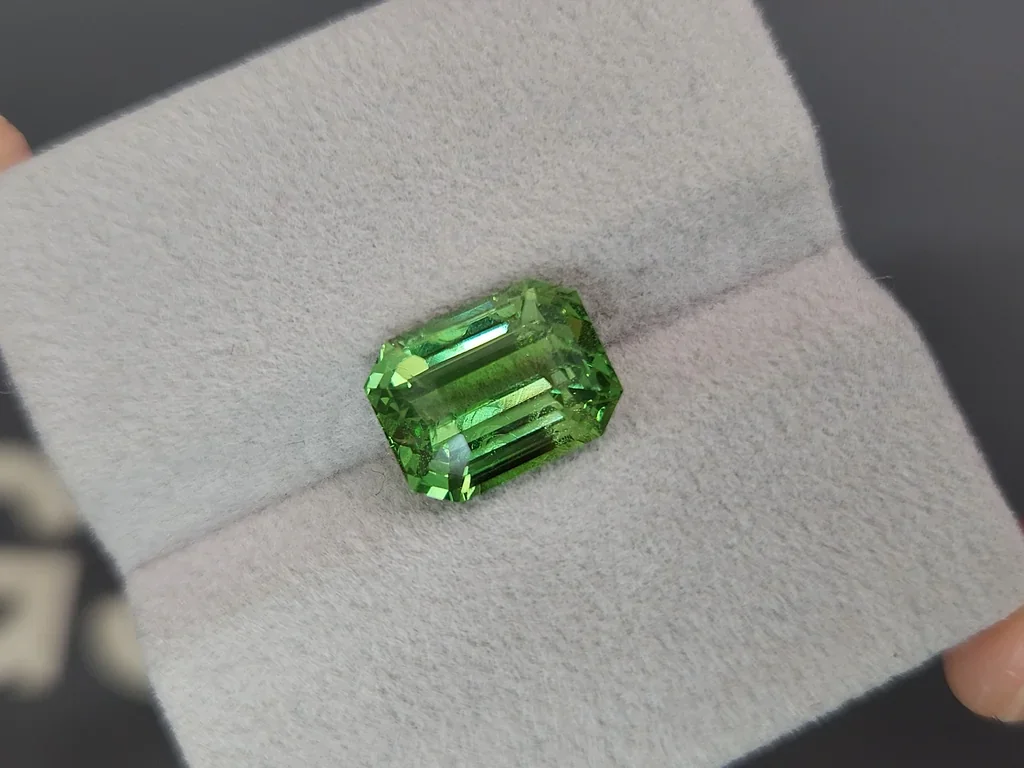 Green tsavorite in octagon cut  5.97 carats, Tanzania  Image №3