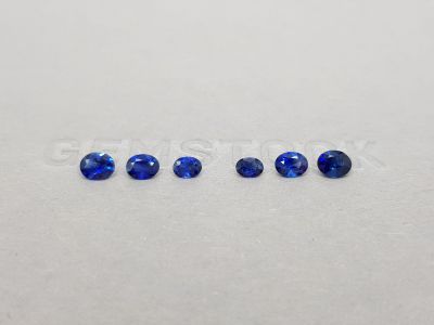 Set of blue sapphires in oval cut 1.50 ct photo