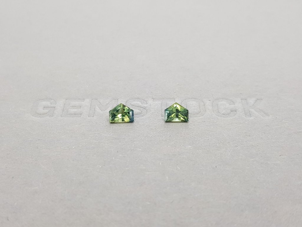 Pair of unheated blue-green sapphires 0.92 ct, Madagascar Image №1