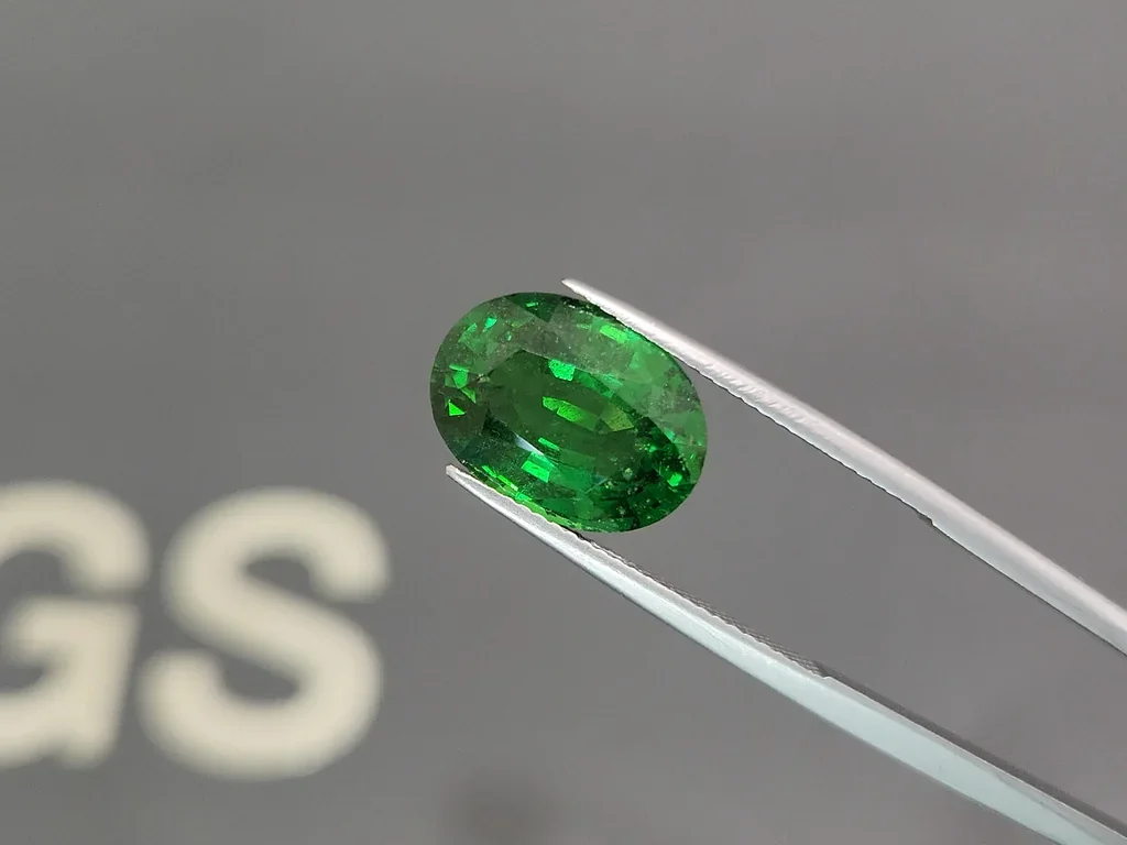 Grenat tsavorite taille ovale vert vif 7,04 ct Tanzanie  Image №3