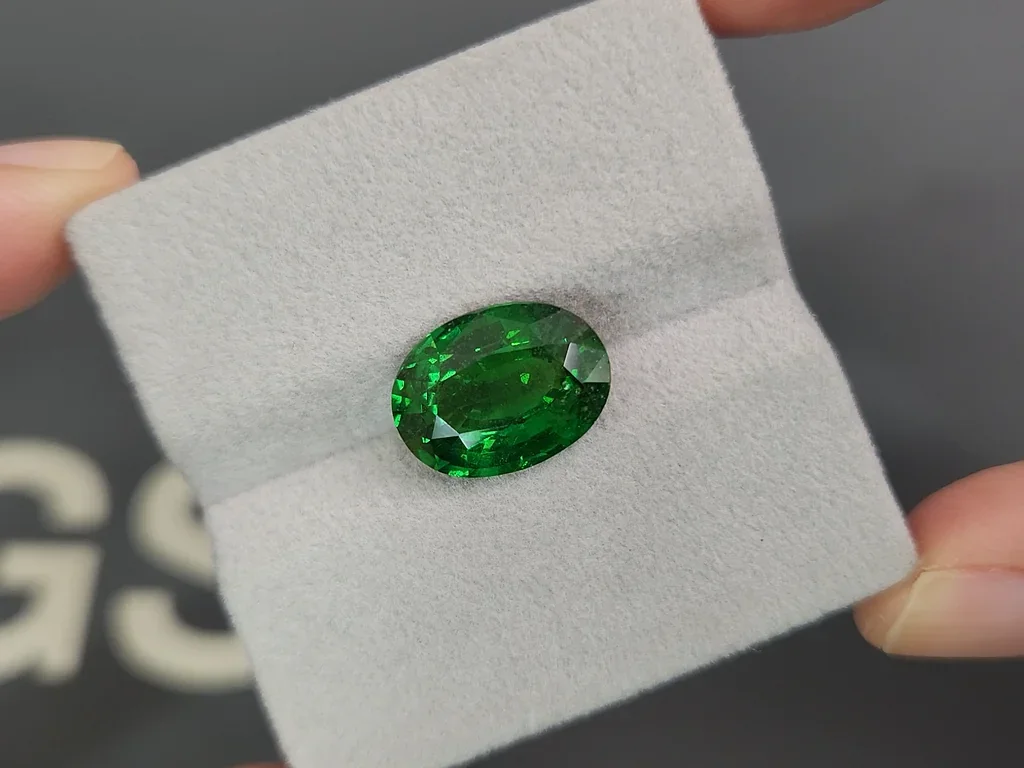 Grenat tsavorite taille ovale vert vif 7,04 ct Tanzanie  Image №4