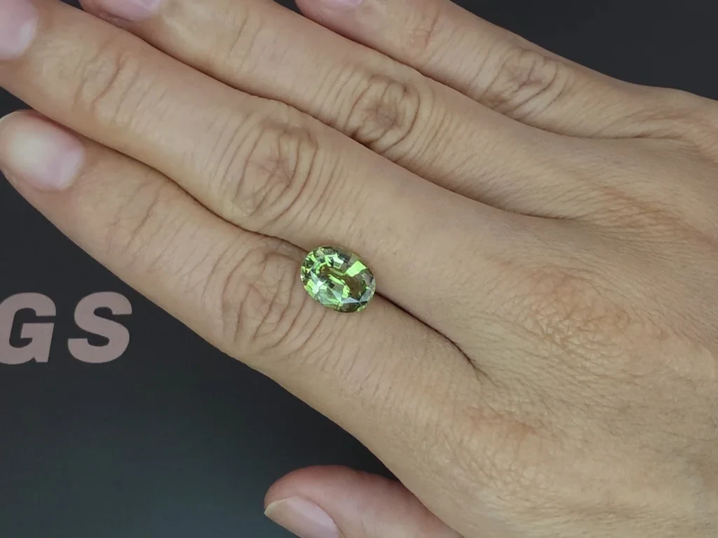 Grenat tsavorite taille ovale de 3,03 carats, Tanzanie  Image №2