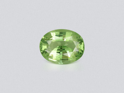 Grenat tsavorite taille ovale de 3,03 carats, Tanzanie  photo