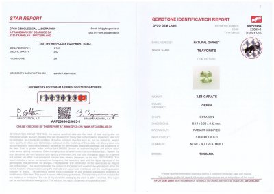 Certificate Raro granate grossular de neón talla radiante 3,51 quilates, África