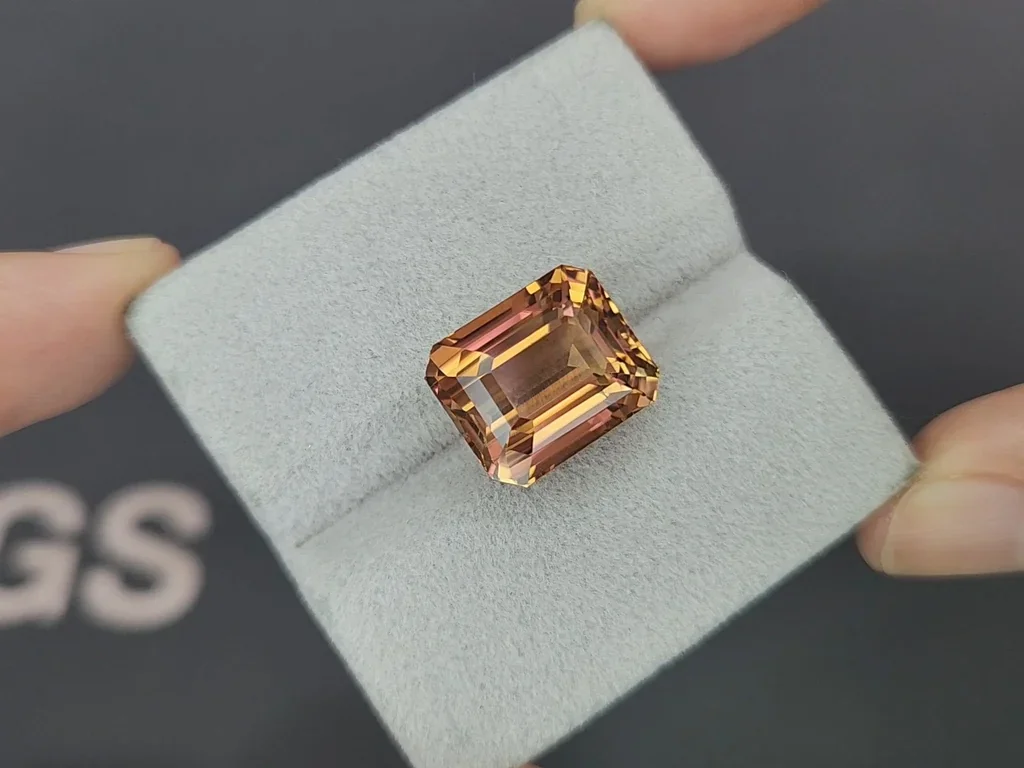 Grande tourmaline taille octogonale pesant 12,27 carats, Afrique Image №4