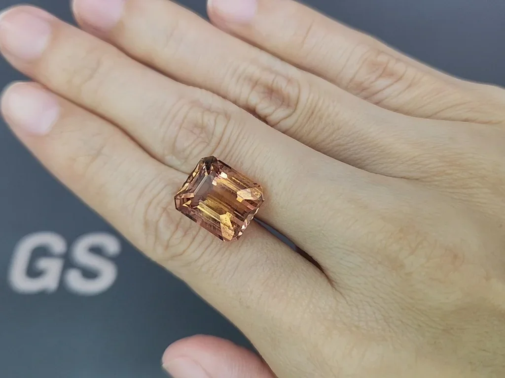 Grande tourmaline taille octogonale pesant 12,27 carats, Afrique Image №2