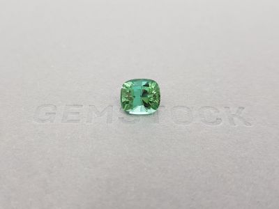 Bright verdelite from Afghanistan 3.15 ct, ICA photo