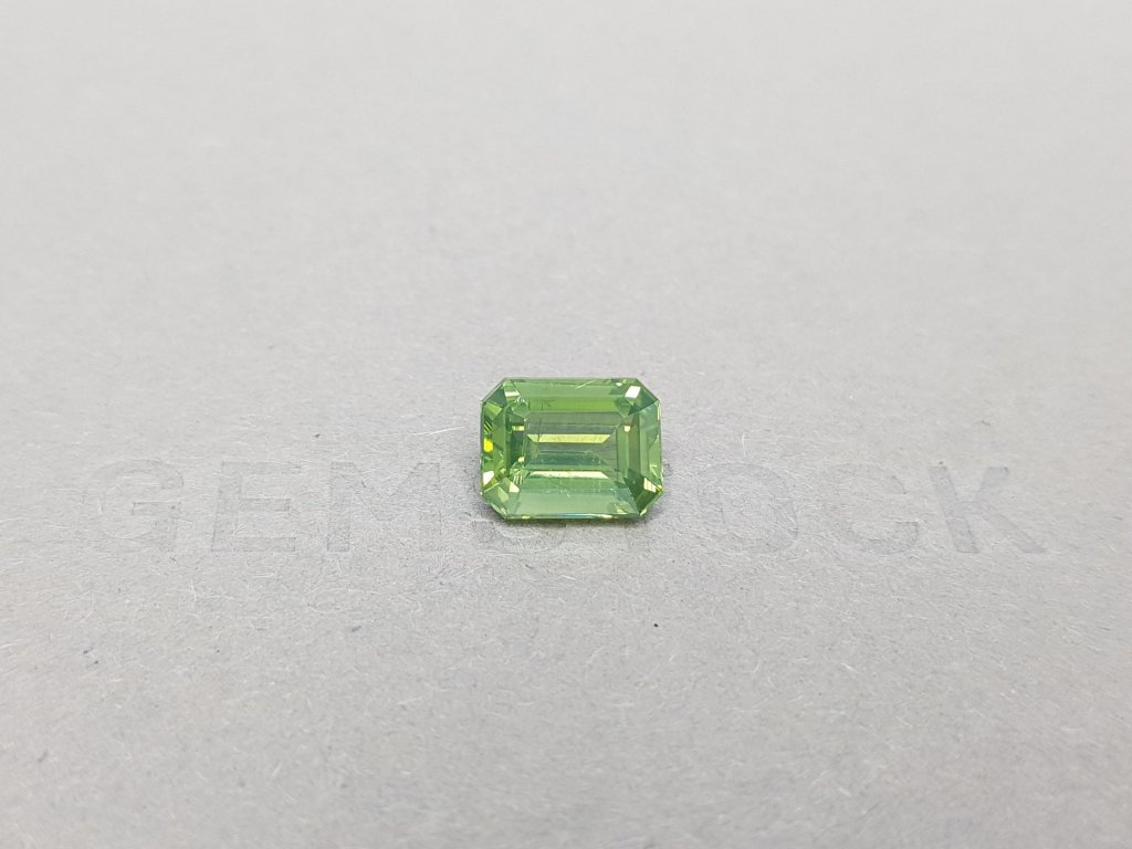 Octagon cut green zircon from Sri Lanka 3.94 ct Image №1