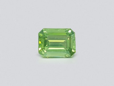 Octagon cut green zircon from Sri Lanka 3.94 ct photo