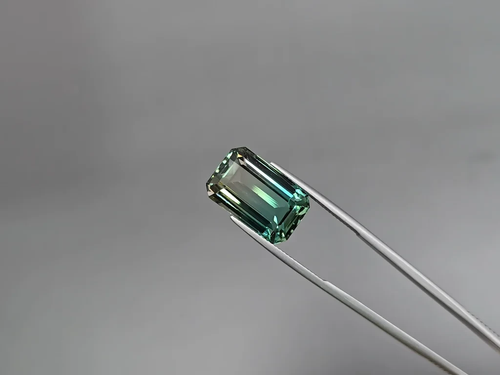 Tourmaline polychrome, taille octogonale 17,53 carats, Afghanistan Image №3