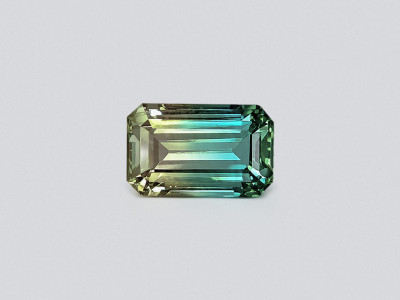 Tourmaline polychrome, taille octogonale 17,53 carats, Afghanistan photo