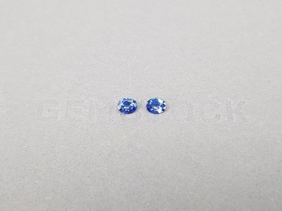 Pair of Cornflower blue sapphires in oval cut 0.62 ct, Sri Lanka photo