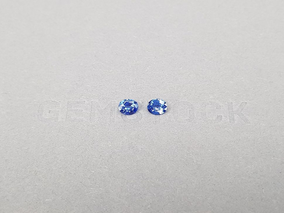 Pair of Cornflower blue sapphires in oval cut 0.62 ct, Sri Lanka Image №1