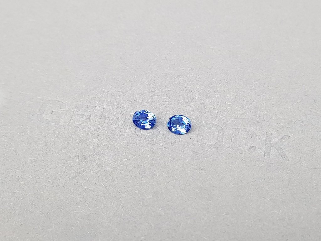 Pair of Cornflower blue sapphires in oval cut 0.62 ct, Sri Lanka Image №3