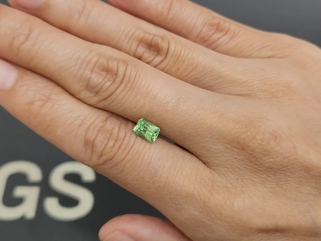 Grenat grossulaire taille radiant 1,15 ct Kenya Image №2