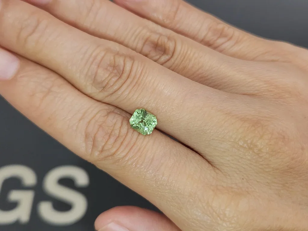 Granate Grossular de corte radiante de Kenia de 1,60 carats Image №2