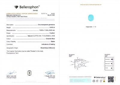 Certificate Tourmaline Paraiba taille coussin 9,91 carats, Mozambique 
